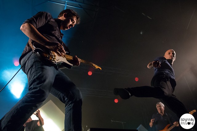 Festival des Campulsations 2014