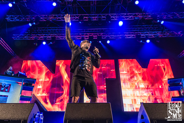 Festival Ecaussystème 2018