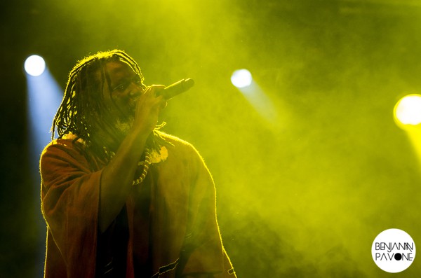 Reggae Sun Ska 2014 tiken-jah-fakoly