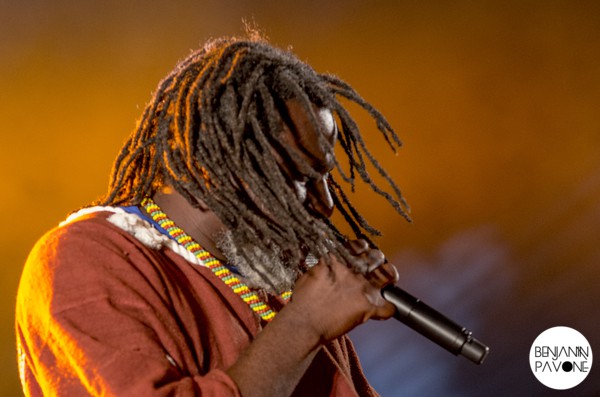 Reggae Sun Ska 2014 tiken-jah-fakoly