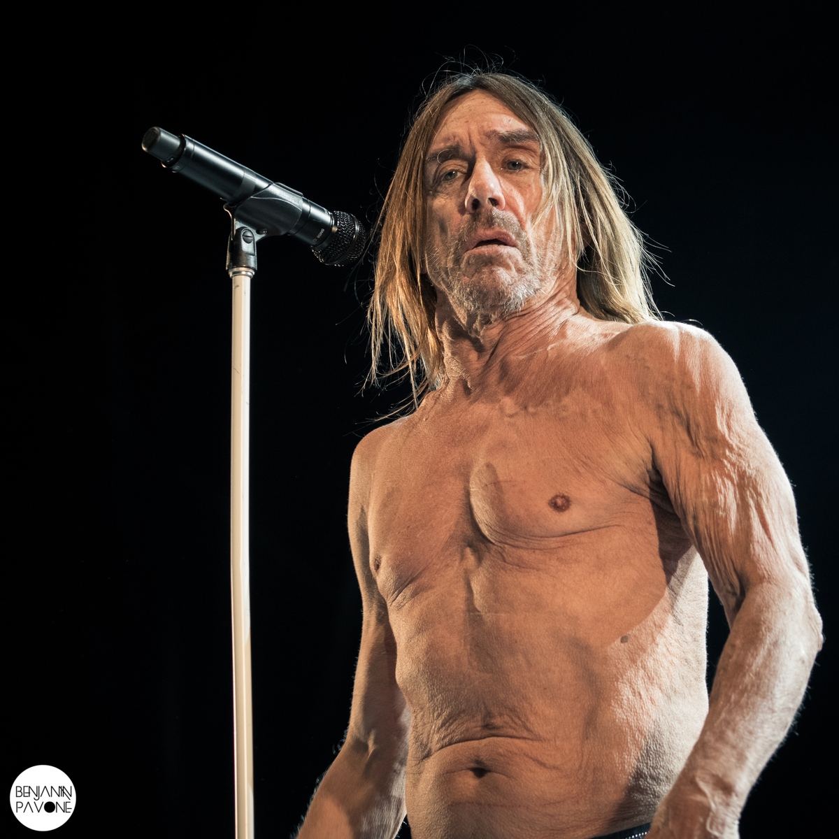 Festival Ecaussystème 2016 iggy-pop-and-the-stooges
