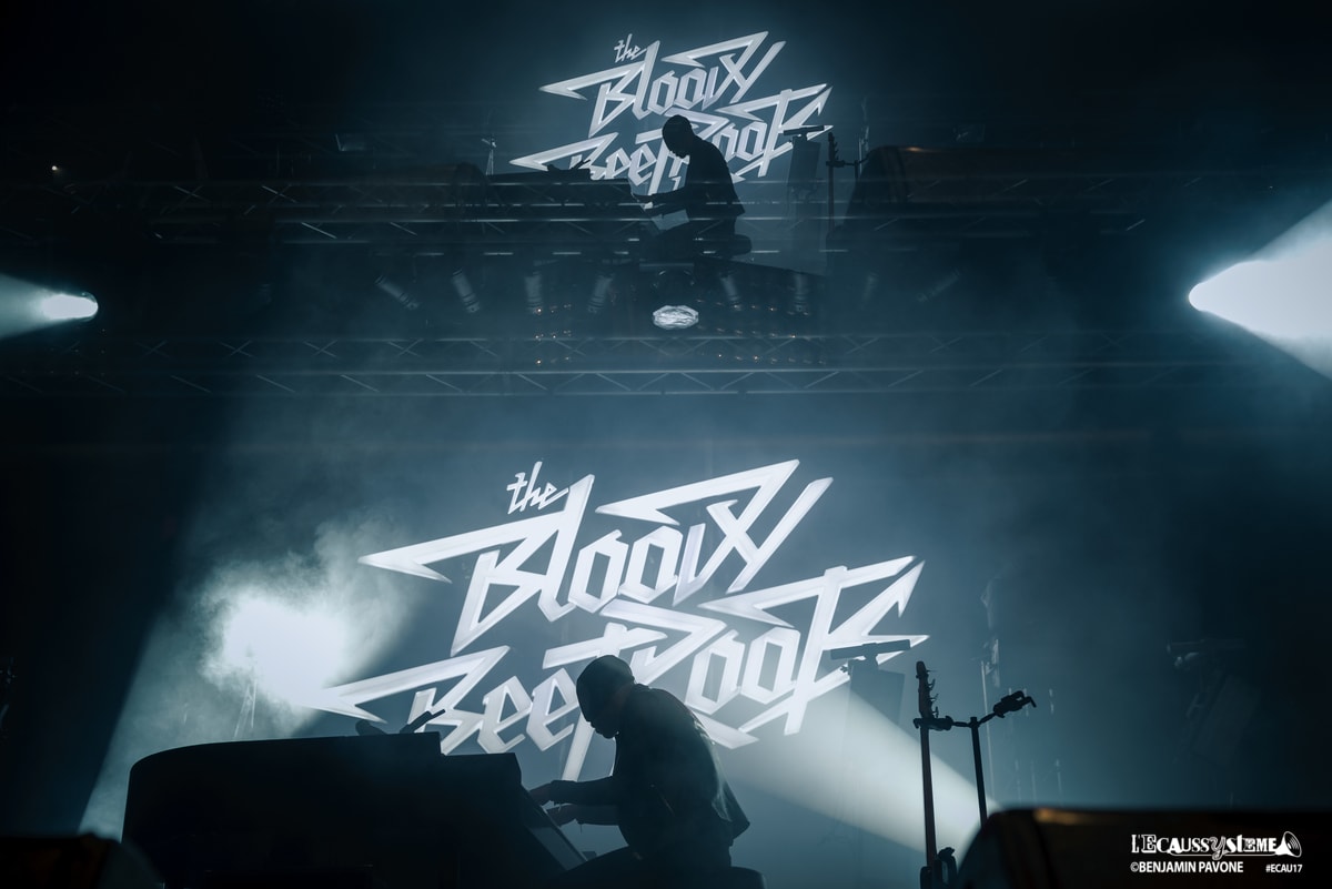 Ecaussysteme 2017 the-bloody-beetroots
